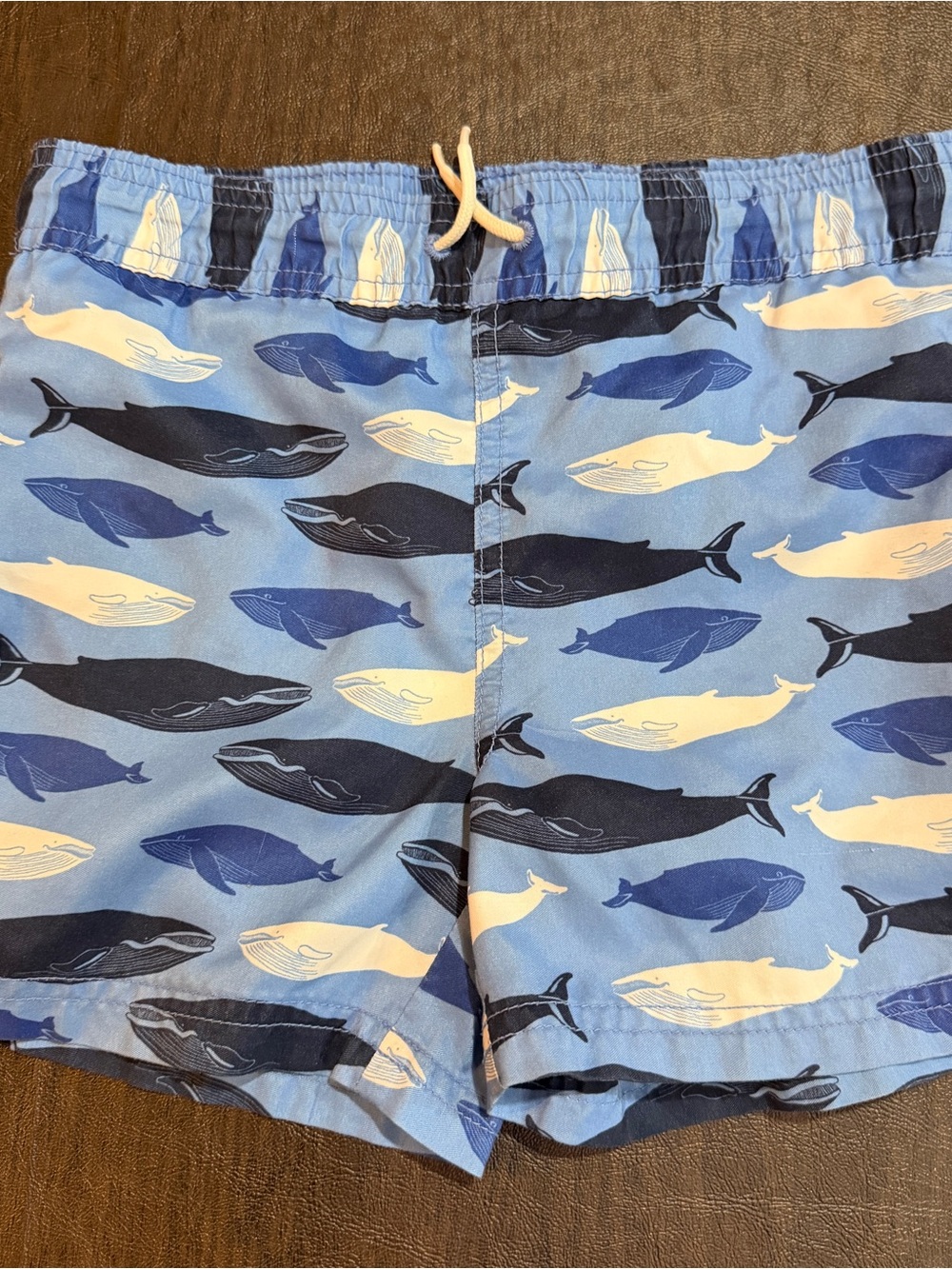 Janie and Jack Whale Print Swim Trunks Sz 5